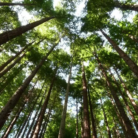 ático Nuevo Con Vistas Appartamento Cabezón de la Sal