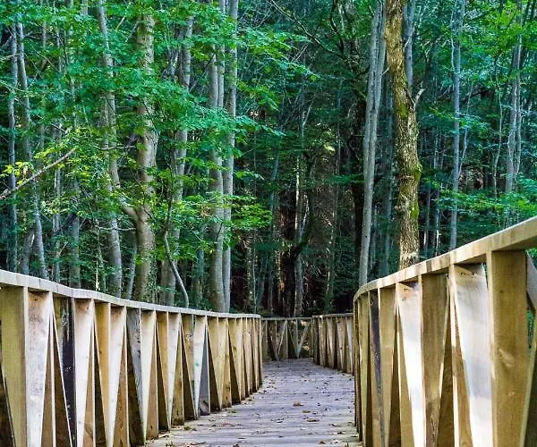 ático Nuevo Con Vistas * Cabezón de la Sal