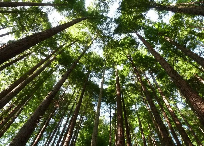 Atico Nuevo Con Vistas Apartament Cabezón de la Sal